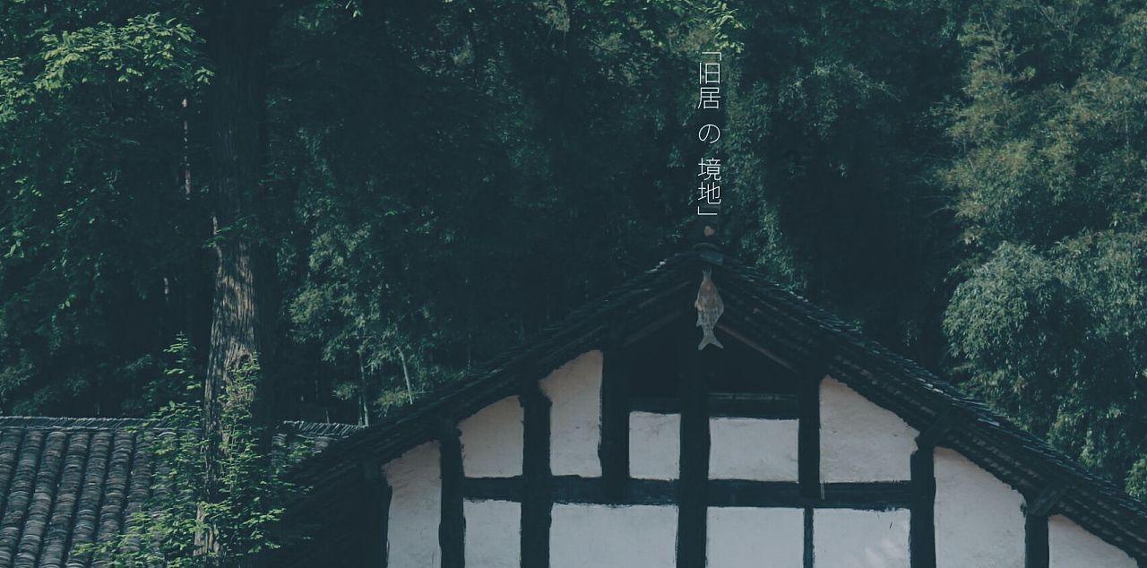 动物帮帮忙保卫家园