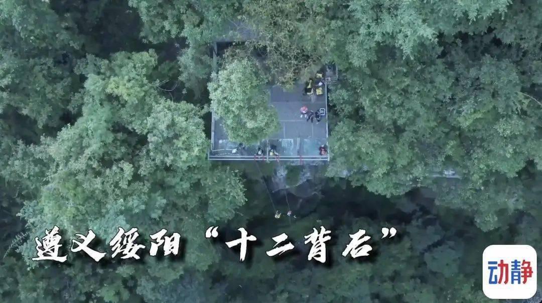 蜗牛寻新房7