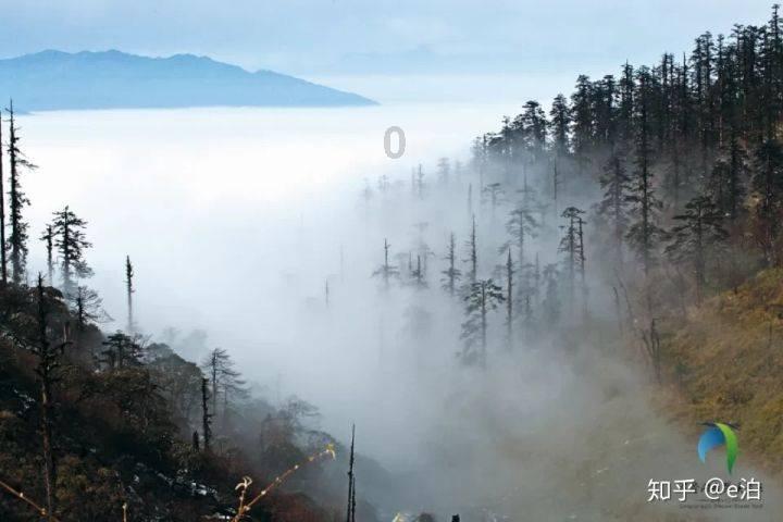 道路交通连连看第三章
