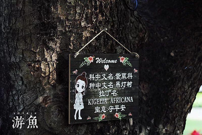 爱子公主迎来重要时刻,雅子皇后计划让她亮相晚宴,母女将成焦点