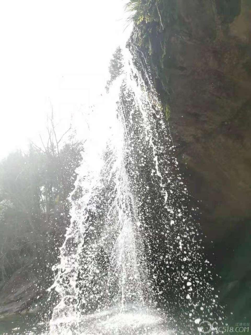 飞扬的独眼鸟