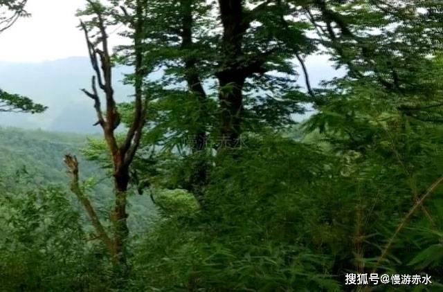 人形迎宾机器人，自主导航接待-支持二次开发