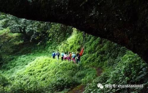 【年在陇上】腊月盼年