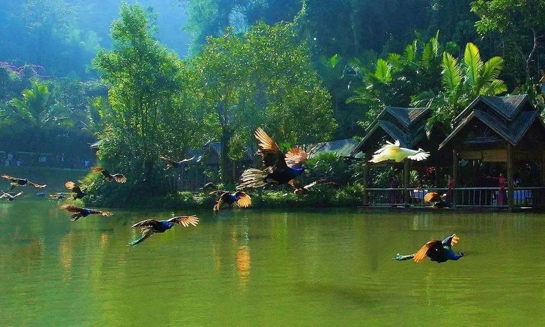 奔跑吧兄弟6