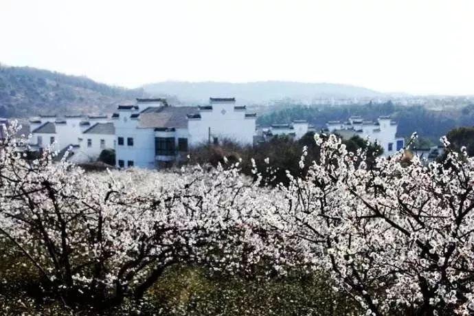 求生之路2