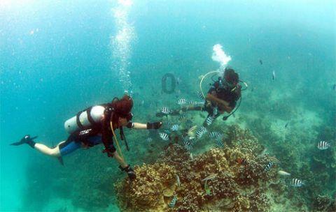 浙江150余名高三学生直接保送全国名校，什么样的学生会被保送？
