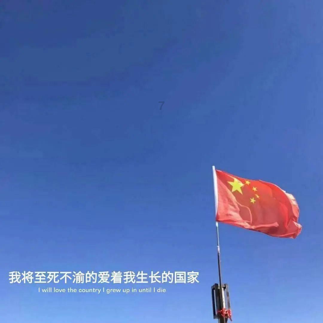 这是什么鸟？？游戏画面