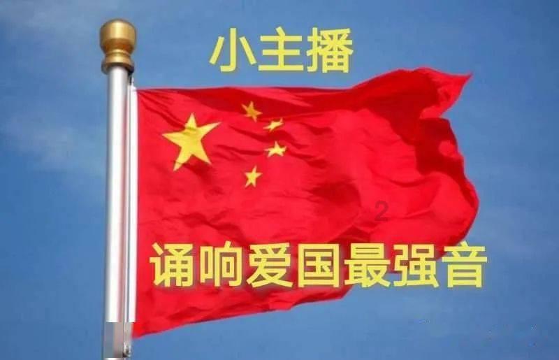 飞天小猪仔