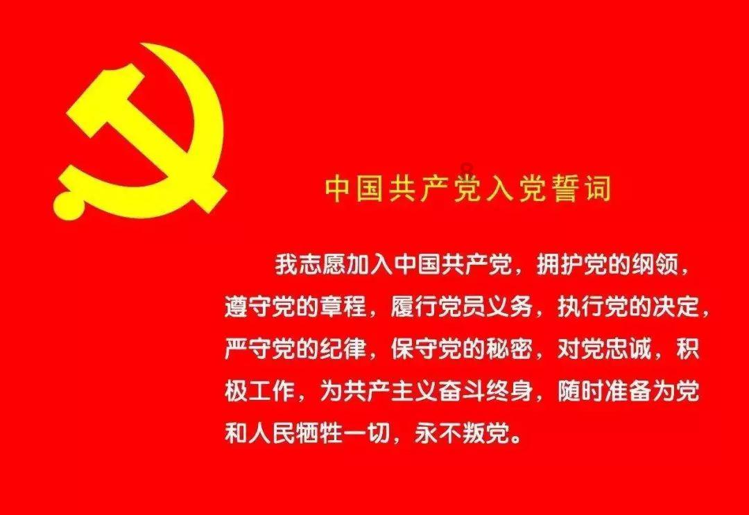 幼崽救援行动选关版