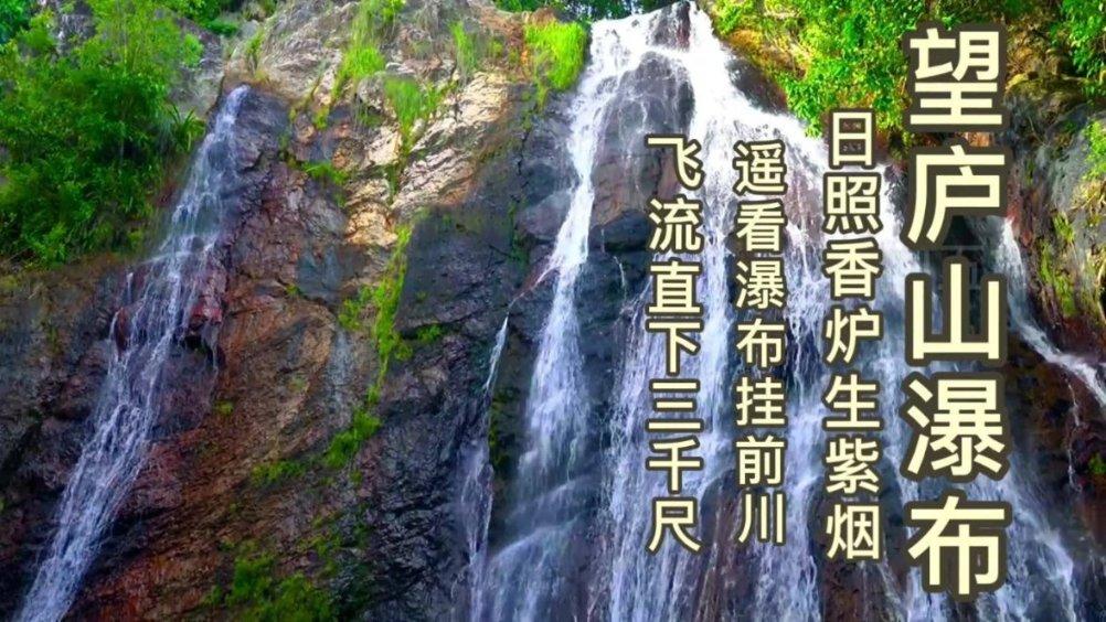 迪马济奥:波波维奇将接受那不勒斯体检,随后租借至弗罗西诺内
