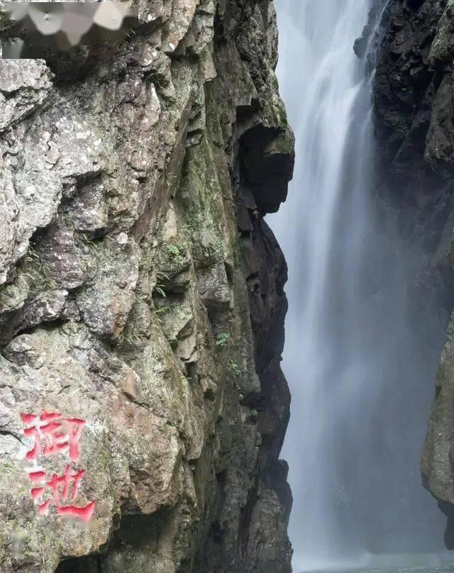 《三大队》大结局:王大勇到死都不知道,他到底死在了谁的手上!