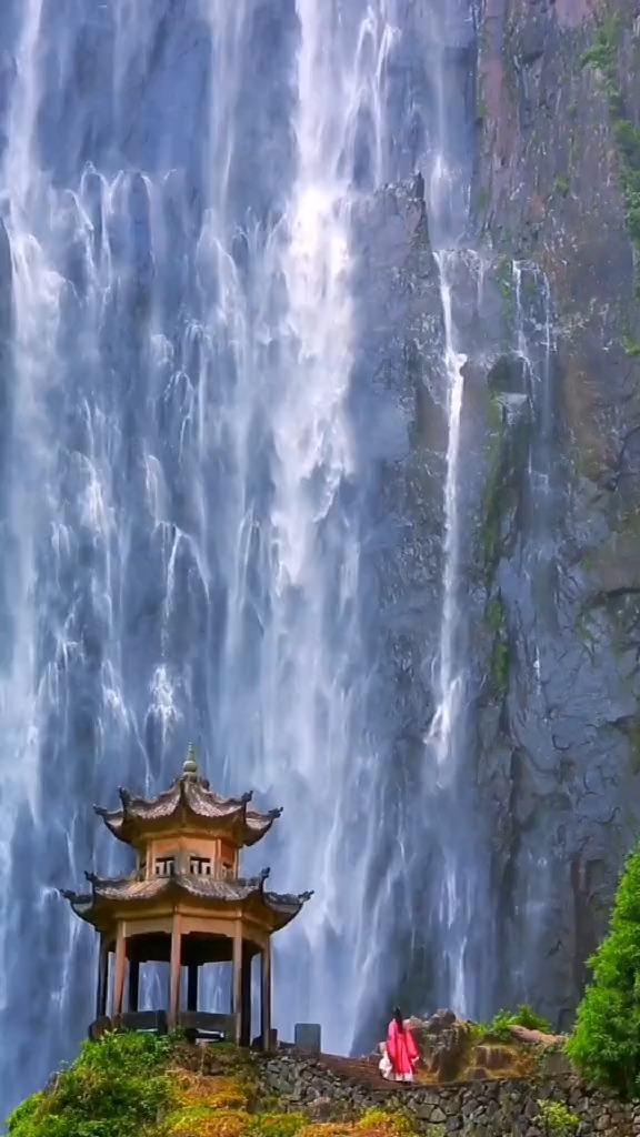 逃离香蕉农田