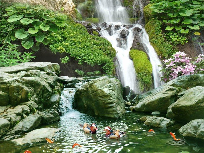 虫虫助手下载