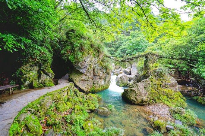 小白挑红酒时，先认准酒瓶上“这些字”，让山寨酒自己现原形
