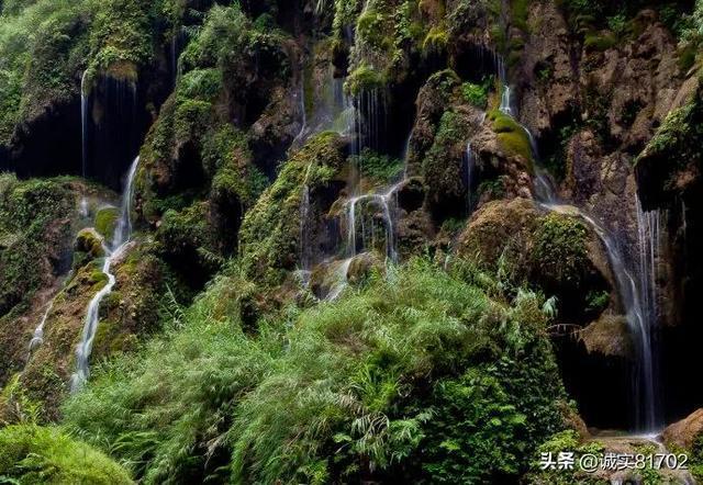 探索天涯,畅谈两推一选是什么意思?交流平台