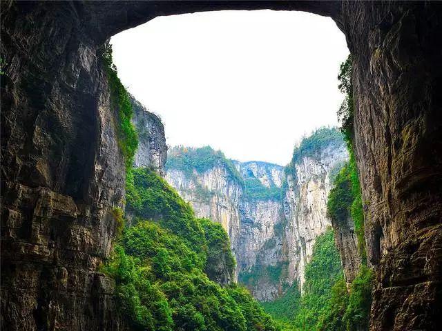 御龙在天