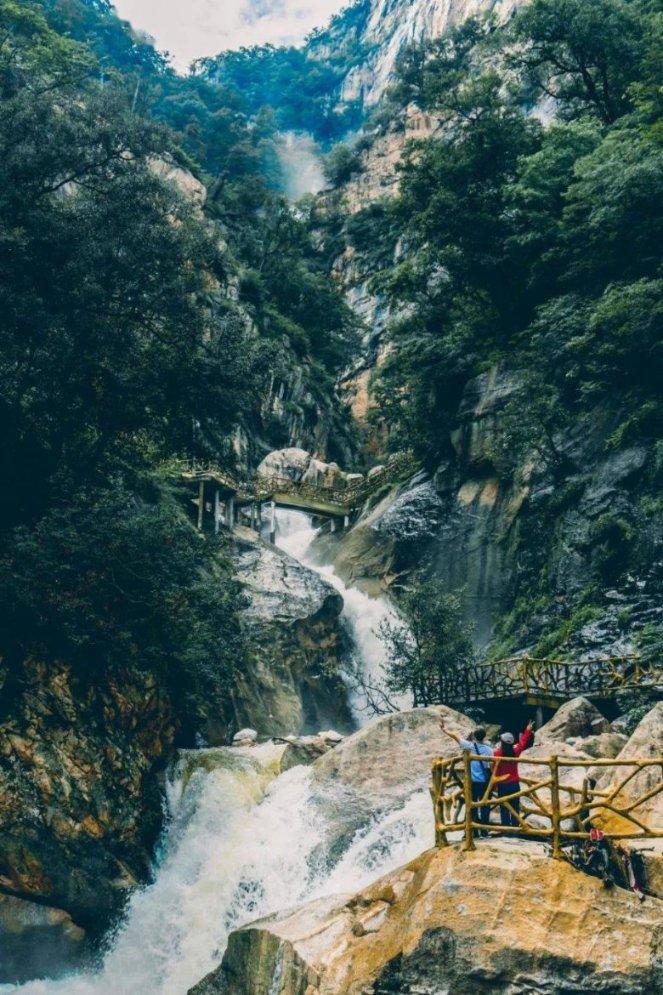 小僵尸射飞鸟