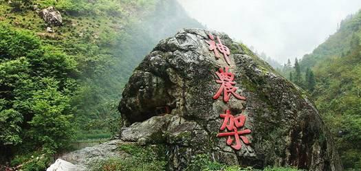 妙鸭相机app下载官网