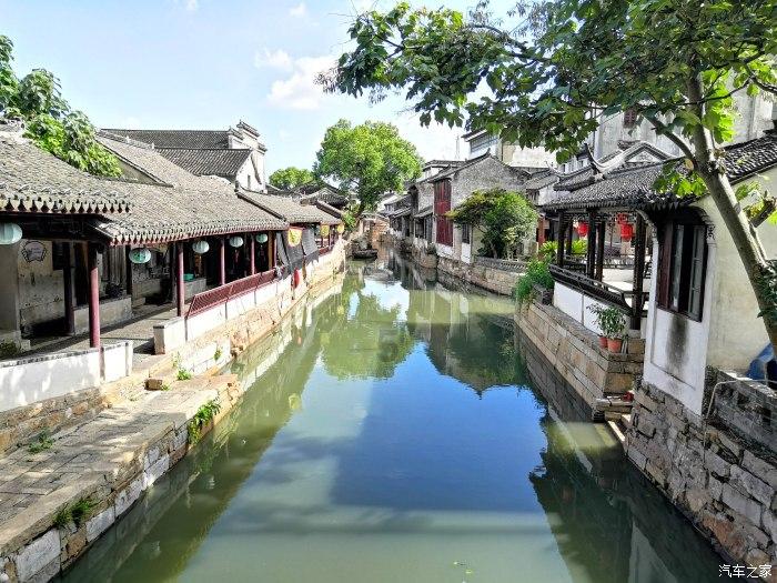 什么水母是世界上最大的水母？