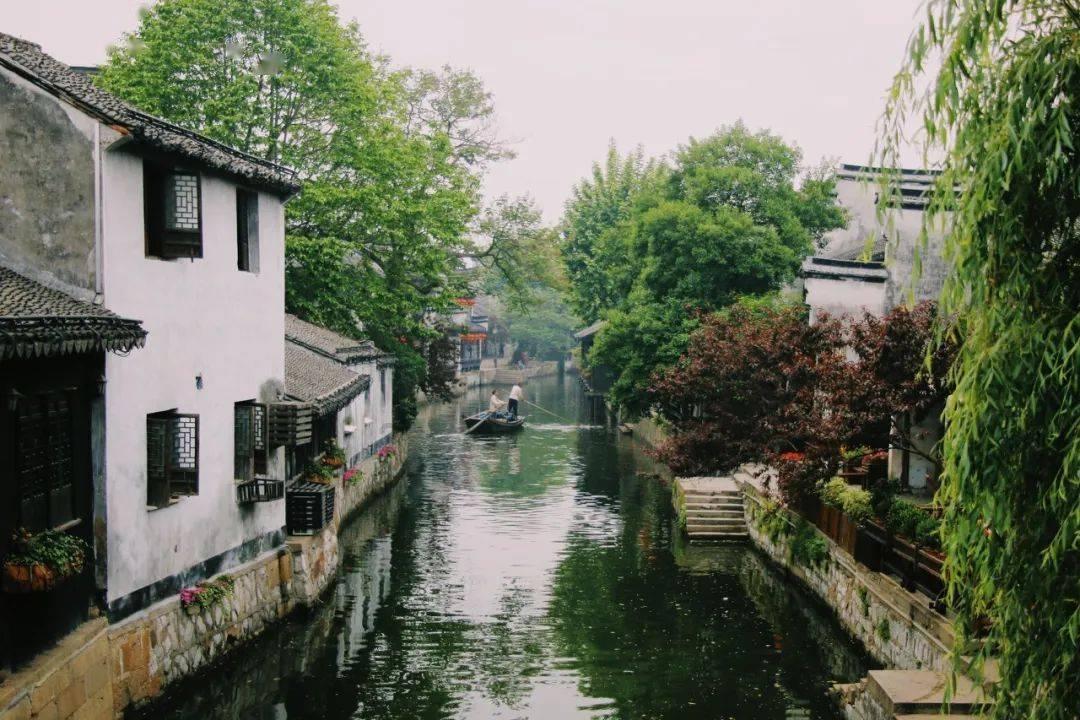 植物大战僵尸20