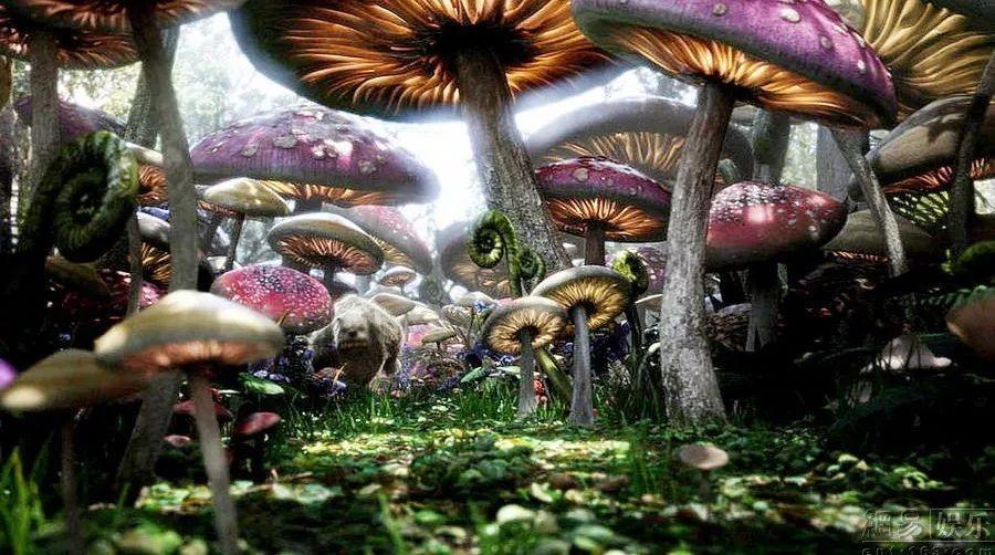开电马的车主，入门就要懂得怎么“野”
